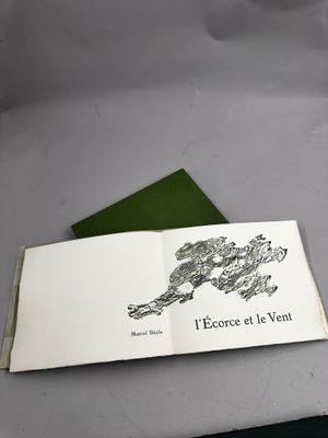 un livre ouvert sur lequel est dessiné un dragon