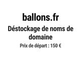 Photo 1/1 du lot