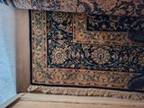 a cat that is standing on a rug near a window