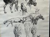 des croquis représentant des chevaux et un chien, dessinés au crayon sur une feuille de papier