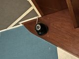 an image of a cat sitting on the floor in front of a door