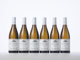 six bottles of white wine lined up in a row