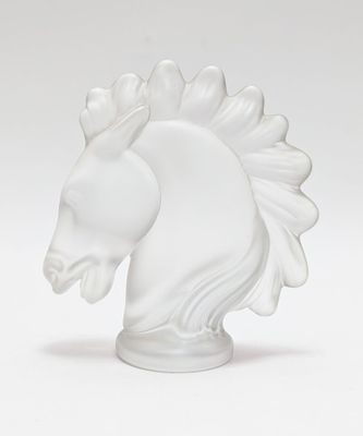 a close up of a white horse head on a white background
