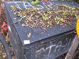 une boîte noire couverte de graffitis, posée dans l'herbe