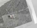 a black and white photo of a man riding a horse