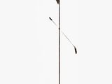 a metal floor lamp with a wooden base and a feather on top