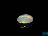 an oplite in the dark with a black background
