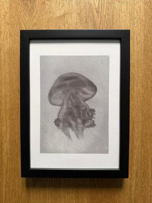 un dessin en noir et blanc représentant une méduse, dans un cadre noir