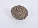 an image of a stone object on a white surface