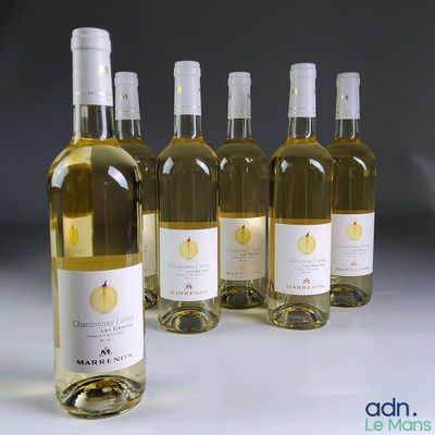 quatre bouteilles de vin blanc posées les unes à côté des autres sur une table