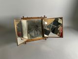 a picture of a picture of a spider in a mirror