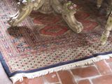 a dog that is sitting on a rug under a table