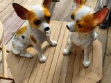 deux petits chiens assis sur une table en bois