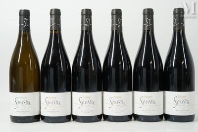 six bouteilles de vin sont alignées sur une table