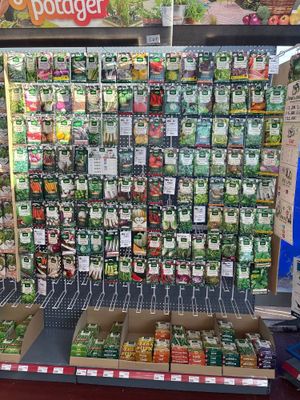 a large display of seeding plants in a store