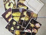 a pile of pictures on the floor of a kitchen
