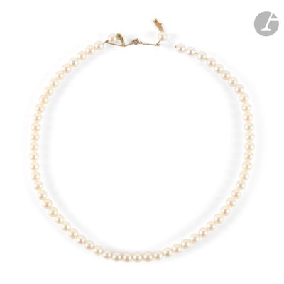 un collier de perles blanches avec un fermoir en or sur fond blanc