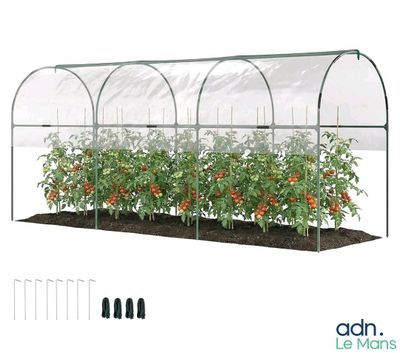 un gros plan d'une serre dans laquelle poussent des tomates