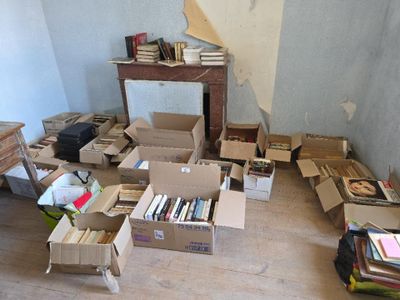 une pièce où il y a beaucoup de cartons et de livres par terre