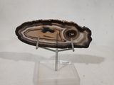 une photo d'une tranche d'agate posée sur un socle