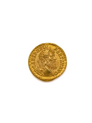 gros plan d'une pièce d'or sur une surface blanche