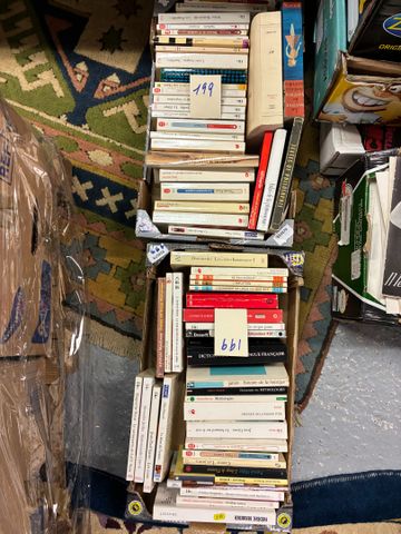 Lot de 2 cartons de littératures : livres de poche et divers