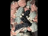 a pile of stuffed animals sitting on top of each other