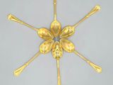 gold spoons and spoon spoons arranged in the shape of a snowflake