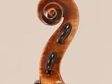 a close up of the back of a violin