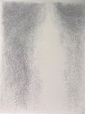 une image représentant un morceau de feuille d'argent posé sur une surface blanche