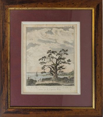 [PACIFIQUE] - Robert BENARD (1734-?) d'après Sydney PARKINSO…