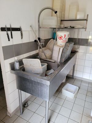 plonge en inox à deux bacs avec douchette on y joint 2 éta…