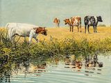 un tableau représentant des vaches au bord de l'eau par une journée ensoleillée