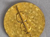 a close up of a gold brooch with a snake on it