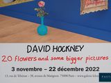 Photo 8/8 du lot