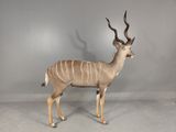 an antelope standing in front of a gray wall