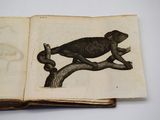 un vieux livre sur lequel figure le dessin d'un oiseau perché sur une branche d'arbre