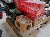 many boxes and crates on a pallet in a room