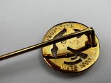 a small gold pin with a small metal pin on it