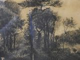 a picture of a drawing of a tree in a field