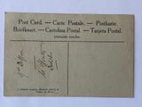 an old postcard with a picture of a cat on it