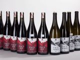 six bouteilles de vin sont alignées sur une surface blanche