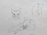 four sketches of a cat laying down on a sheet of paper