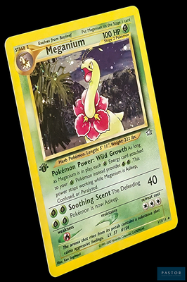 une image d'une carte Pokémon sur laquelle figure un canard