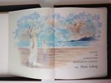 un livre ouvert sur lequel figure l'image d'une femme sur la plage