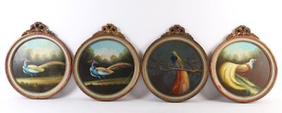 quatre tableaux encadrés représentant des oiseaux et un oiseau sur fond blanc