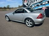 une Mercedes SLK argentée garée devant un mur sur lequel est peinte une étoile