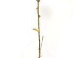 brass plated floor lamp with a single rose on a stem