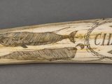 an elephant tooth with a sign on it that says charies