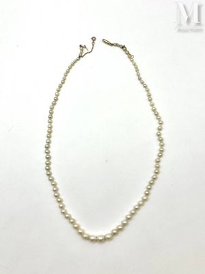 a close up of a white pearl necklace on a white surface